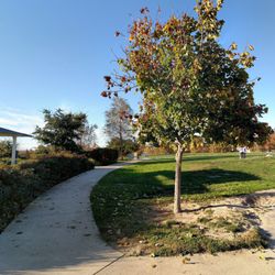 Handy Family Park - You can walk all around the park on paved walkways.