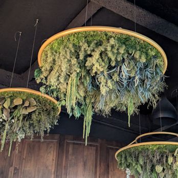 AP Rooftop - Decor on the ceiling - Bars Near Me - Asbury Park, New Jersey
