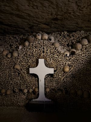 Catacombs of Paris by null
