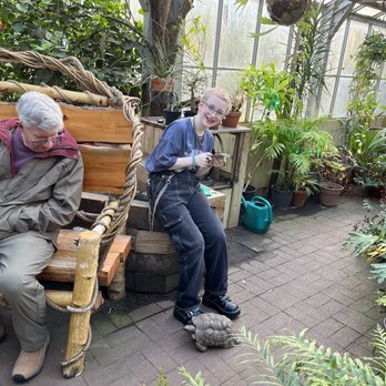 Lamberton Conservatory - This tortoise was making friends with Kendall. - Botanical Gardens Near Me - Rochester, New York