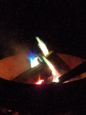 East Harbor State Park by null