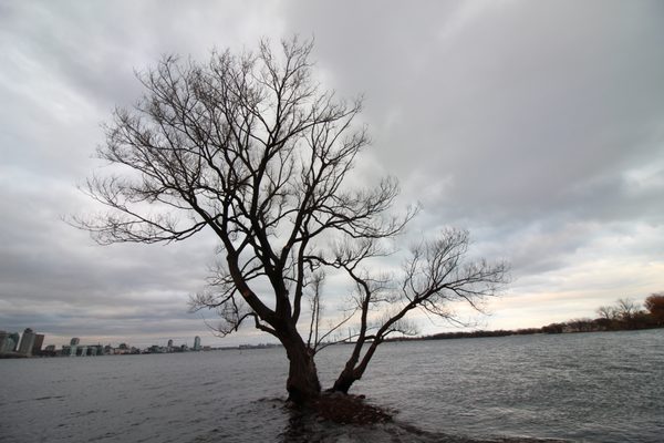 Toronto Island Park Olympic Island by null