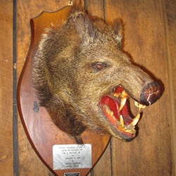 The Pedalin' Pig BBQ - Wild Boar Mount