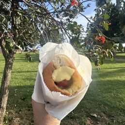 Puka dog with original sauce, mango relish and Hawaiian mustard. Puka dog with original sauce, mango relish and Hawaiian mustard.