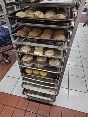 Tlaxcala Bakery Panaderia by null