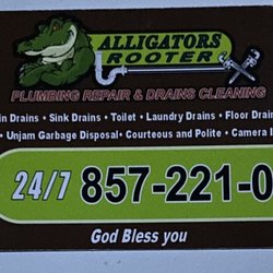 Alligators Rooter