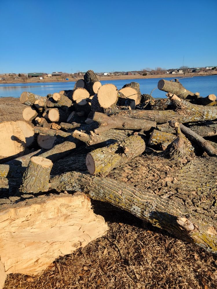 Slide of ProTex restoration and construction