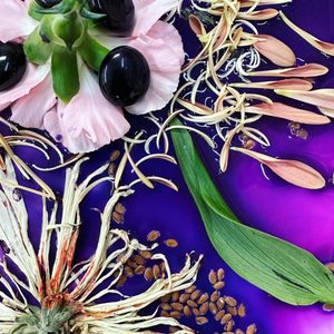 Project Joy Studio on Yelp