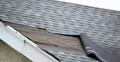 Slide of Sealtech Nation