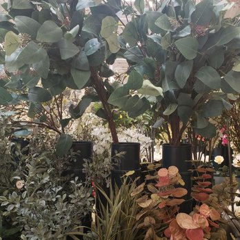 Hobby Lobby - Home Decor Near Me - Santa Clarita, California