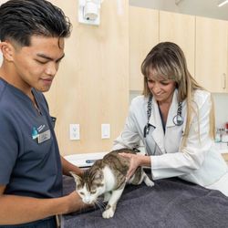 Promenade Veterinary Hospital