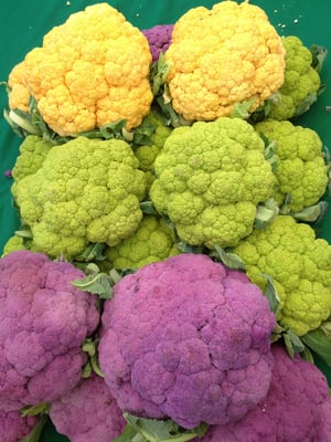 Santa Clara Farmers Market by null