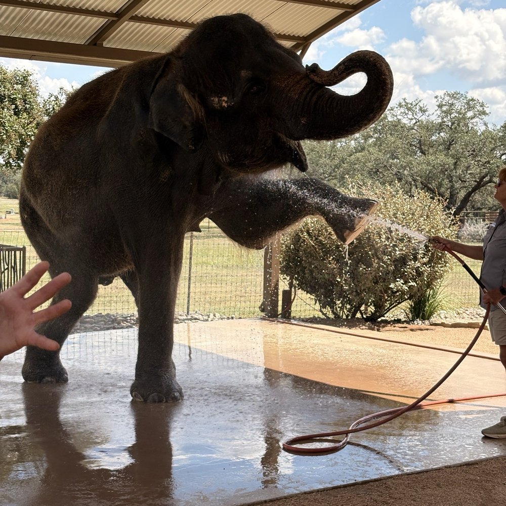 The Preserve - Zoos Near Me - Fredericksburg, Texas