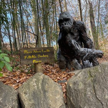 Maryland Zoo in Baltimore - Zoos Near Me - Baltimore, Maryland