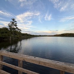 C Bickham Dickson Park