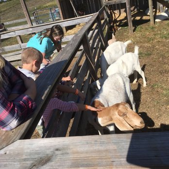 Oakes Farm - Attraction Farms Near Me - Corryton, Tennessee Oakes Farm - Attraction Farms Near Me - Corryton, Tennessee