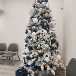 Marina OB/GYN