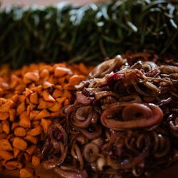 Seasonal Montana - Pickled red onion, butternut squash and green beans.