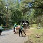 JP Tree Service