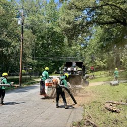 JP Tree Service