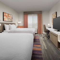 Hilton Garden Inn Columbia Airport - Guest room
