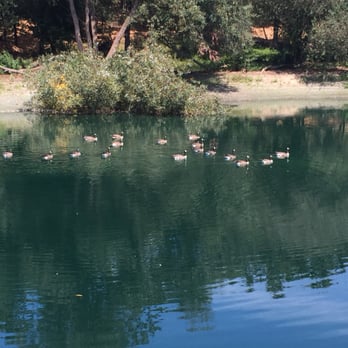 Kistler Vineyards - Wineries Near Me - Forestville, California