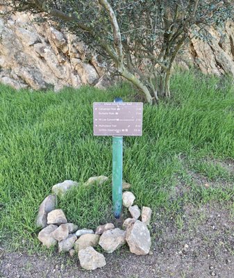 Griffith Park by null