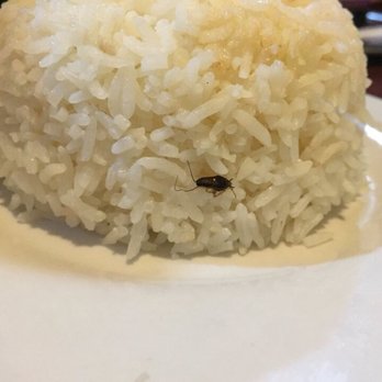 Pho Cali - Coffee & Tea Near Me - Milwaukee, Wisconsin