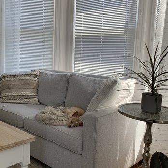 Walk This Way SF - This is my dog, Callie so sleepy and recovering of 6 days of playtime while boarding at Walk This Way! - Dog Walkers Near Me - San Francisco, California