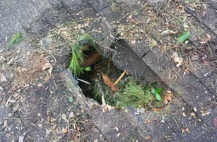 Slide of Turnkey Roofing of Fort Myers