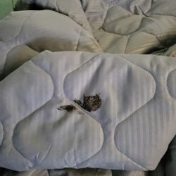 Saints Joachim & Anne Nursing and Rehab Center - Blanket with dried up feces