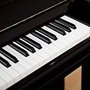Photo of Artist Pianos / Kathy Rogillio