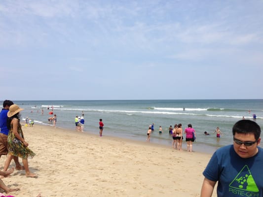 Coast Guard Beach by null
