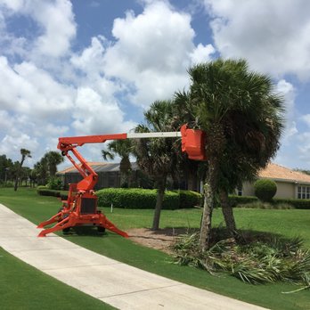 All Florida Tree Care - Palm Trees Trimmed at a Golf Course! - Tree Services Near Me - Sarasota, Florida