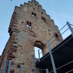 Burgruine Freudenberg - Palas