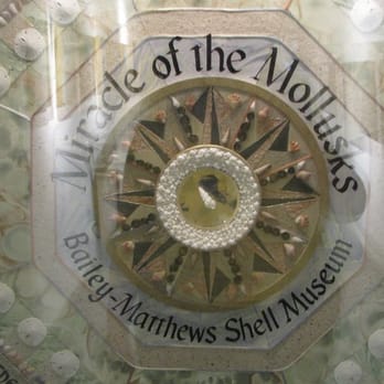 The Bailey-Matthews Shell Museum - Artist's Sailor's Valentine done for the Museum - Museums Near Me - Sanibel, Florida The Bailey-Matthews Shell Museum - Artist's Sailor's Valentine done for the Museum - Museums Near Me - Sanibel, Florida