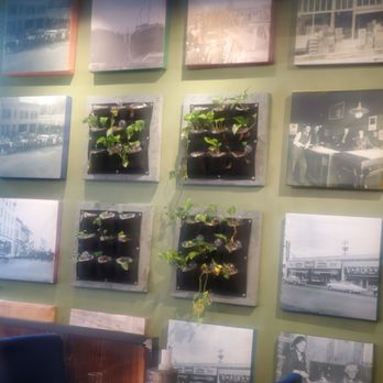 The Sedgwick - Wall decorations - Salad Near Me - Vancouver, Washington The Sedgwick - Wall decorations - Salad Near Me - Vancouver, Washington