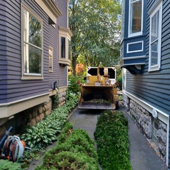 Tree Plucker - Tree Services Near Me - West Seneca, New York