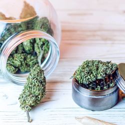 The Trust Cannabis Company