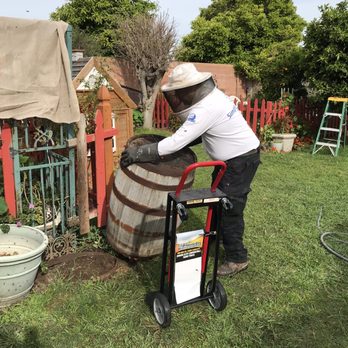 Bugpro Termite And Pest Control - Pest Control Near Me - Anaheim, California