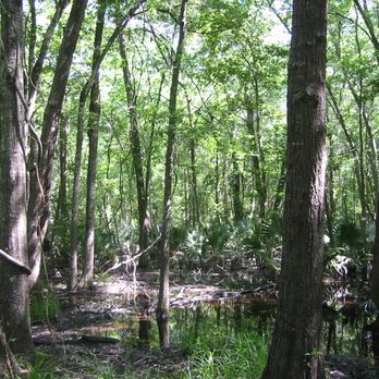7 Range Surveying - Land Surveying Near Me - Tyler, Texas 7 Range Surveying - Land Surveying Near Me - Tyler, Texas