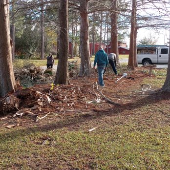 All Around Tree Services - Tree Services Near Me - Houma, Louisiana All Around Tree Services - Tree Services Near Me - Houma, Louisiana