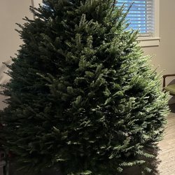 Montana Fresh Christmas Trees - Beautiful Grand Fur from our favorite tree stand- Montana Fresh!