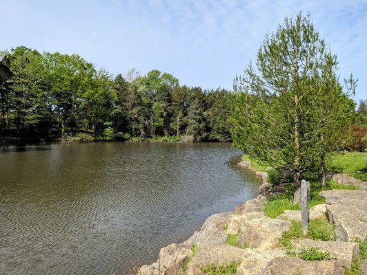 Bernheim Forest and Arboretum by null