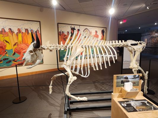 Buffalo Bill Center of the West by null