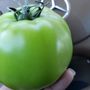 Photo of H & S Produce