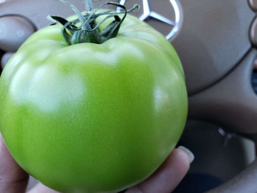 H & S Produce Logo