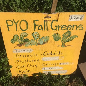 Hollin Farms - Pick your own greens - Fruits & Veggies Near Me - Delaplane, Virginia