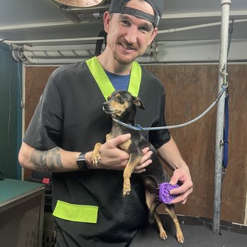 Solo Dog Grooming - Groom dog - Pet Groomers Near Me - Corona, California