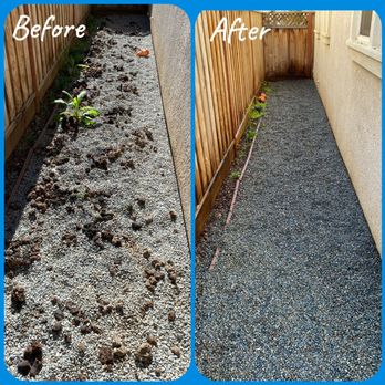 Bombs Away - Before and After photo of a recent cleanup in Gilroy, CA. - Pet Waste Removal Near Me - Campbell, California